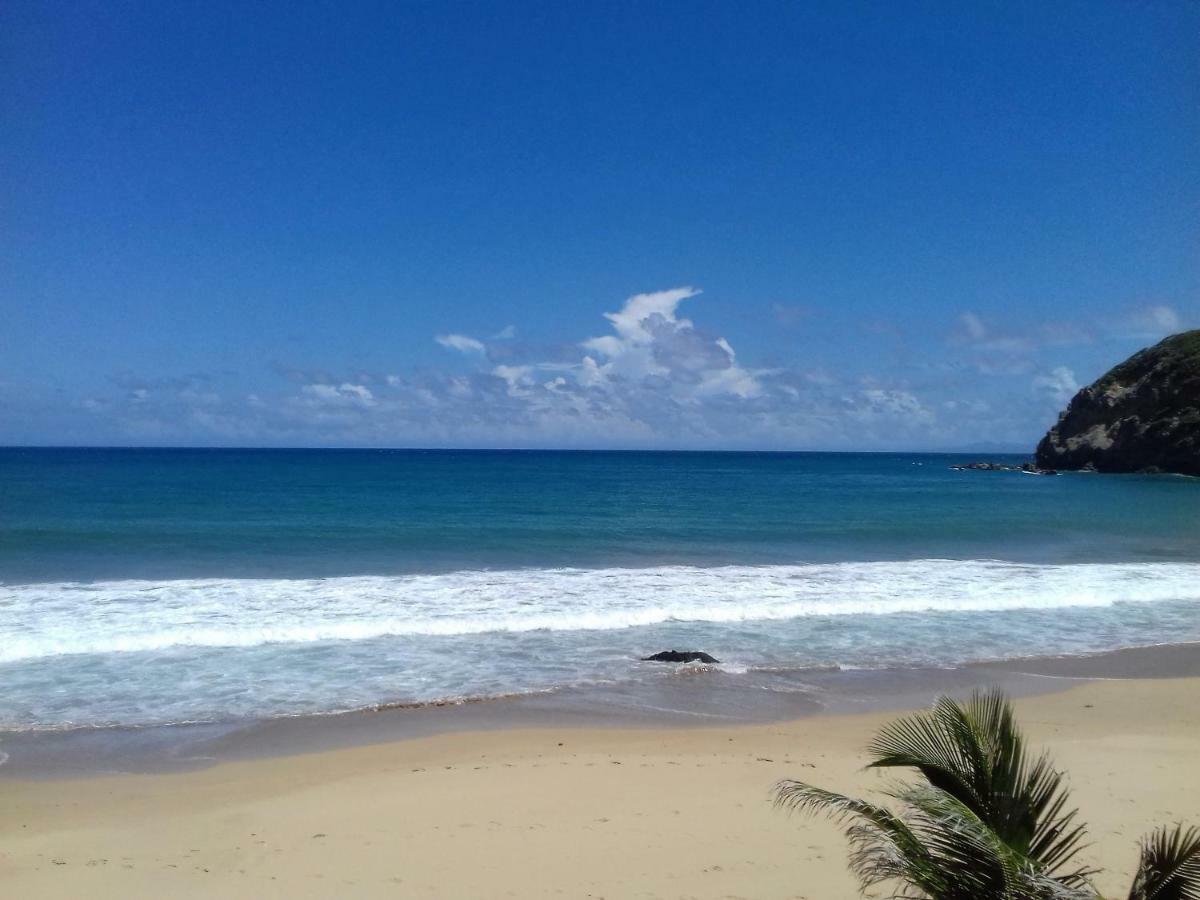 Bungalow Anse Figuier Terre-De-Haut Exterior foto